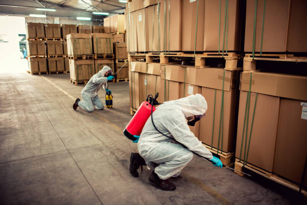 Best Mosquito Control Services  in Cimarron, KS