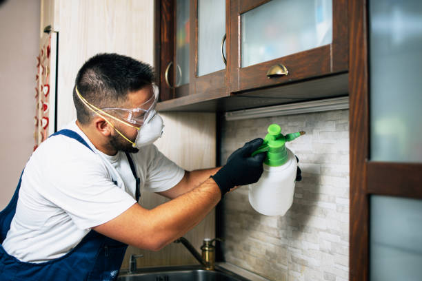 Best Pest Control Near Me in Cimarron, KS
