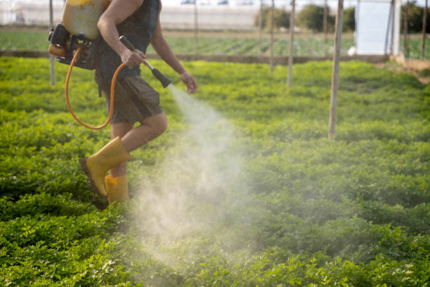 Trusted Cimarron, KS Pest Control Experts