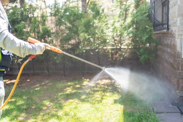 Best Spider Control Near Me  in Cimarron, KS