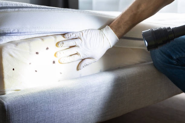 Best Wildlife Control Services  in Cimarron, KS