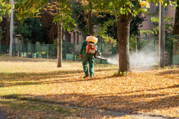 Best Commercial Pest Control Services  in Cimarron, KS