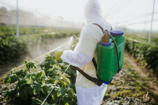 Best Exterminator Services  in Cimarron, KS